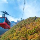 빨간다리 이미지