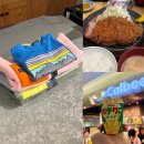 가족과 함께하는 태교음악회 | 삿포로 태교여행 3일차 : 돈카츠 아오키 / 신치토세 공항