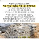 부성건축사무소 이미지