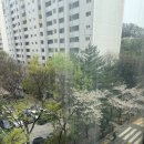 산본제일병원 앞 건널목 | 산본제일조리원 솔직후기(VIP룸, 아쉬운 서비스와 행정처리, 둘째는 ❌)