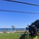 정암식당 이미지