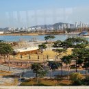 일마지오세종도서관점