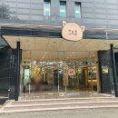 인포위니드주문진지점 | 글램독 양양점 애견펜션 베스트 2탄 (원룸형숙소 소개)