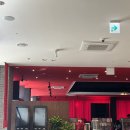 뮤직컴플렉스서울 부산점 주차 / 입장료 / 포토존 / LP바 내돈내산 솔직후기
