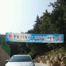 칠천도편백림펜션 이미지