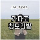 제주여행 | 제주 명소 가파도 배 예약방법 5월 청보리밭