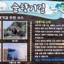 숲속솔향기