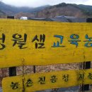 풀꽃농장 이미지