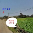 읍사무소진입로-읍사무소 이미지