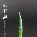 백호환경 이미지