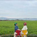 매일떡볶이