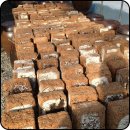 진장농장 이미지