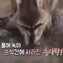 완e-클라쓰 민박 | ✈️300만 원으로 미국여행🏖️ 사전준비 : 항공권 예약 | ESTA 비자 | 캐년투어 예약 | 숙소 예약 | 환전...