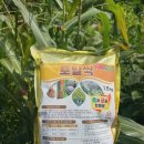 토탈안전 이미지