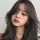 드디어고려대점