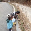 수리산도립공원 숲속길을 걸으며 솔방울.나뭇잎.밤송이등 자연물을 만지며 자연을 만끽했어요 이미지