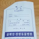 쿨펫 양한방 동물병원 | 대전 쿨펫 양한방 동물병원 후기 / 최고 / 대전 햄스터 병원