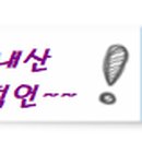 스테리나잇제주 이미지