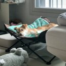 일죽종합동물병원 이미지