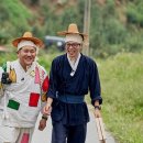 금일인삼