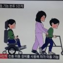 EBS ＜명의＞ 김현우 교수님 소개되었네요 - 소아 [보행장애] 이미지