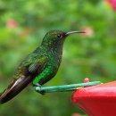 아름다운 꿈 이미지