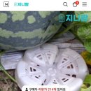 주공농장 이미지