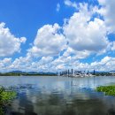 삼락생태공원 이미지