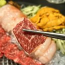 [천호 암사 맛집] 한우 육사시미에 단새우, 우니 올려 먹는 곳 ‘와카노키친’ 솔직 후기