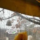 민토리숲 네이버블로그