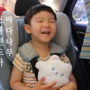 (주)인비오스토리 | 바다나무 잉글리시 체험팩 유아영어가 즐거워!