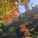 박사행정사사무소 이미지