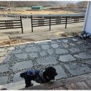 느린 오후가 있는 집 | 군위민박 고요한 쉼의 향기를 찾아서 - 느린오후가있는집 리뷰