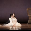 카멜리아 이미지