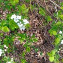 봉성마을회관 이미지