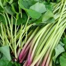 안만순농장 이미지