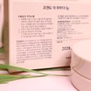 코겐도 더 파우더, 여름철 촉촉하고 빛나는 스킨케어 파우더 후기