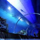 블루플래닛 이미지