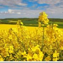 봄메디칼 이미지