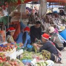 풍경버스 이미지