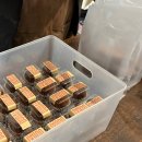 씨유(CU) 장한평2호점 | 성수 - 현장구매, 웨이팅 맛집 지수언니 두쫀쿠 내돈내산 후기!! (예약, 냉동보관)