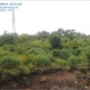 회성동102 이미지