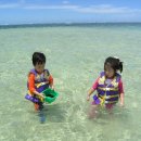 비키니 아일랜드(BIKINI ISLAND) 이미지
