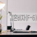 국제이민행정사 이미지