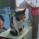 동백코스(서천-군산) 이미지