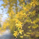 어린이대공원 제5호 이미지