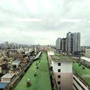 대전 원도심 구경 / 대전천 수해현장, 목척교, 소제동 워커스버거