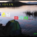 새못 이미지