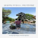 서대문자연사박물관 | 서울 아이랑 실내 가볼 만한 곳 서대문 자연사박물관 다녀온 후기