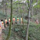 태권도 골든로드 이미지